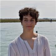Laureando in ingegneria informatica offre ripetizioni e/o aiuto compiti a ragazzi delle superiori durante il periodo estivo